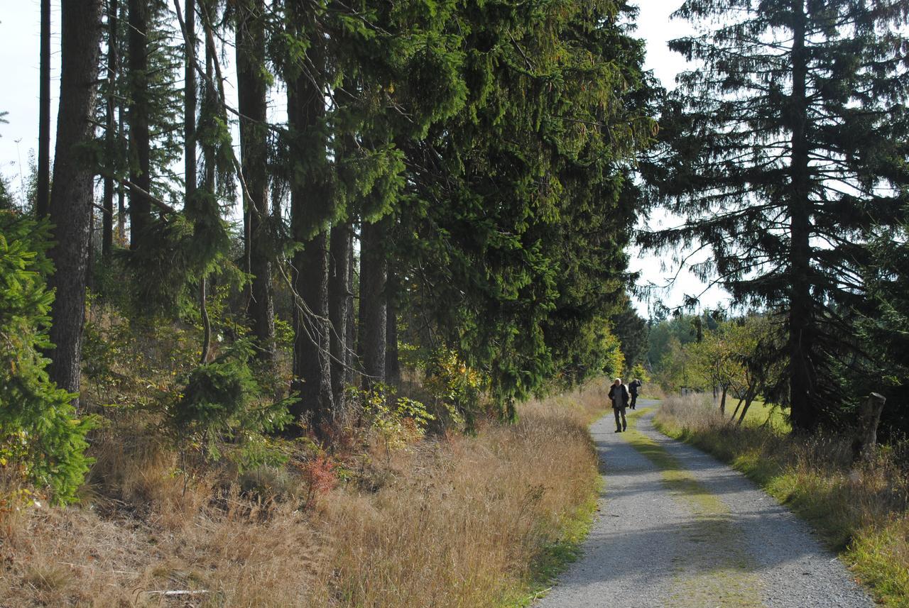Landgasthof Gruss Gasthof Brilon